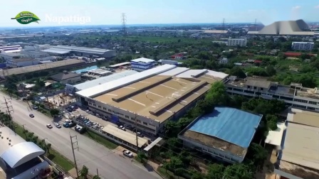 泰国娜帕蒂卡曼谷工厂制造乳胶枕头乳胶床垫视频实拍视频